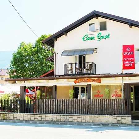 Casa Gusa Borşa Eksteriør billede